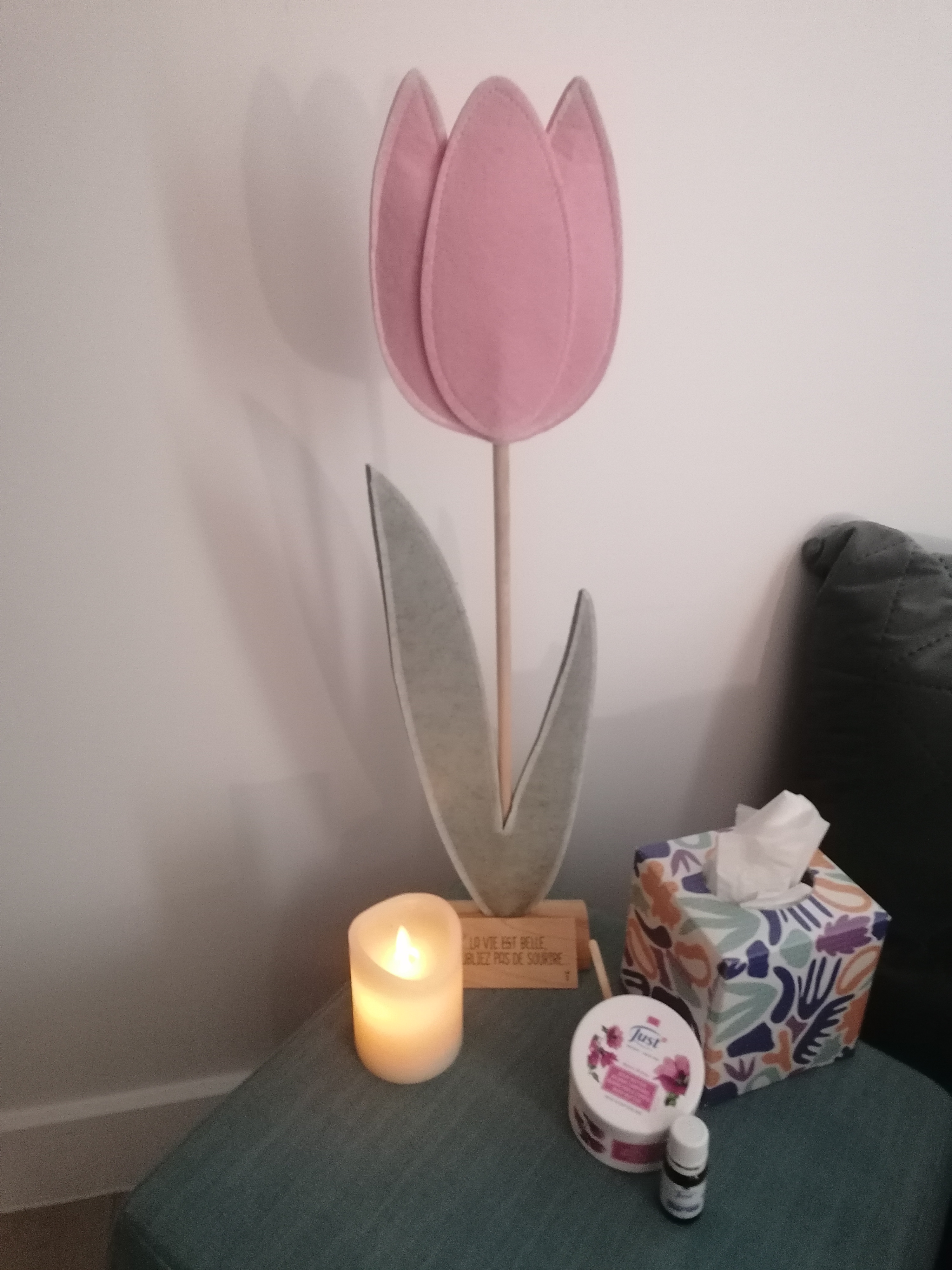 Produits Just - présentation 2